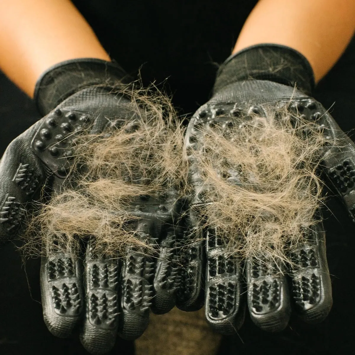 Black Magic Grooming Gloves