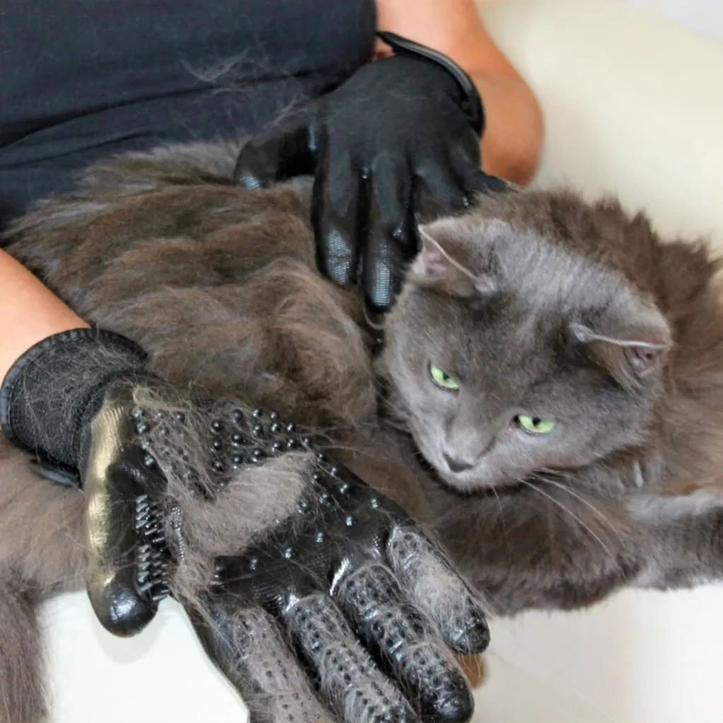 Black Magic Grooming Gloves