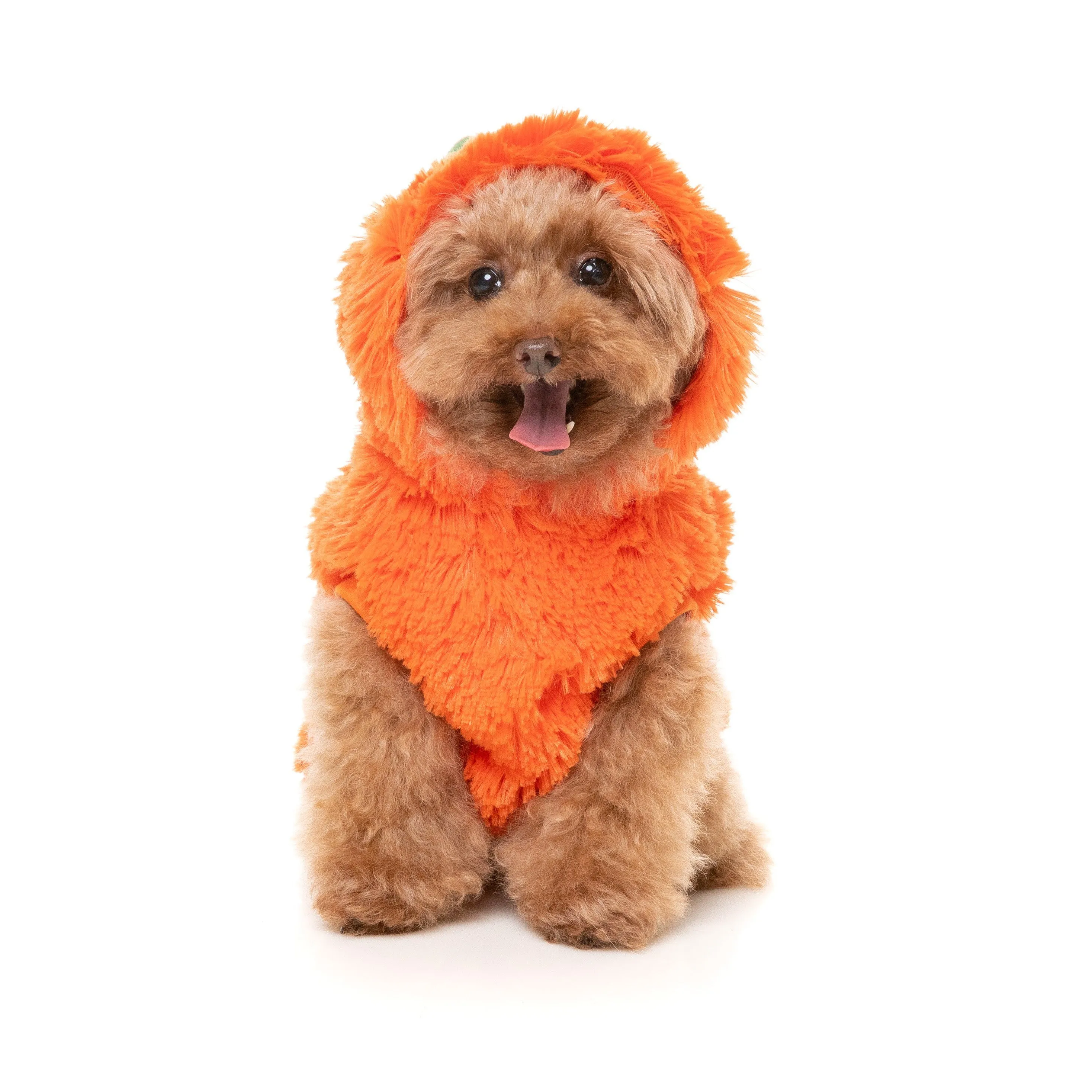 FuzzYard Halloween Dog Apparel Pumpkin Head Hoodie Size 1***